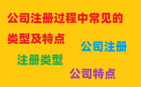 公司注册过程中常见的类型及特点